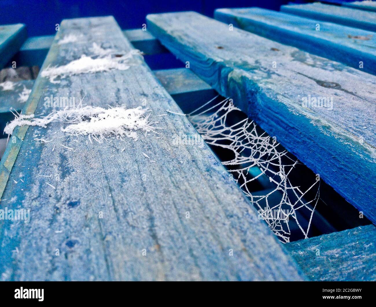 Blaue Palette mit gefrorenen Spinnweben. Stockfoto
