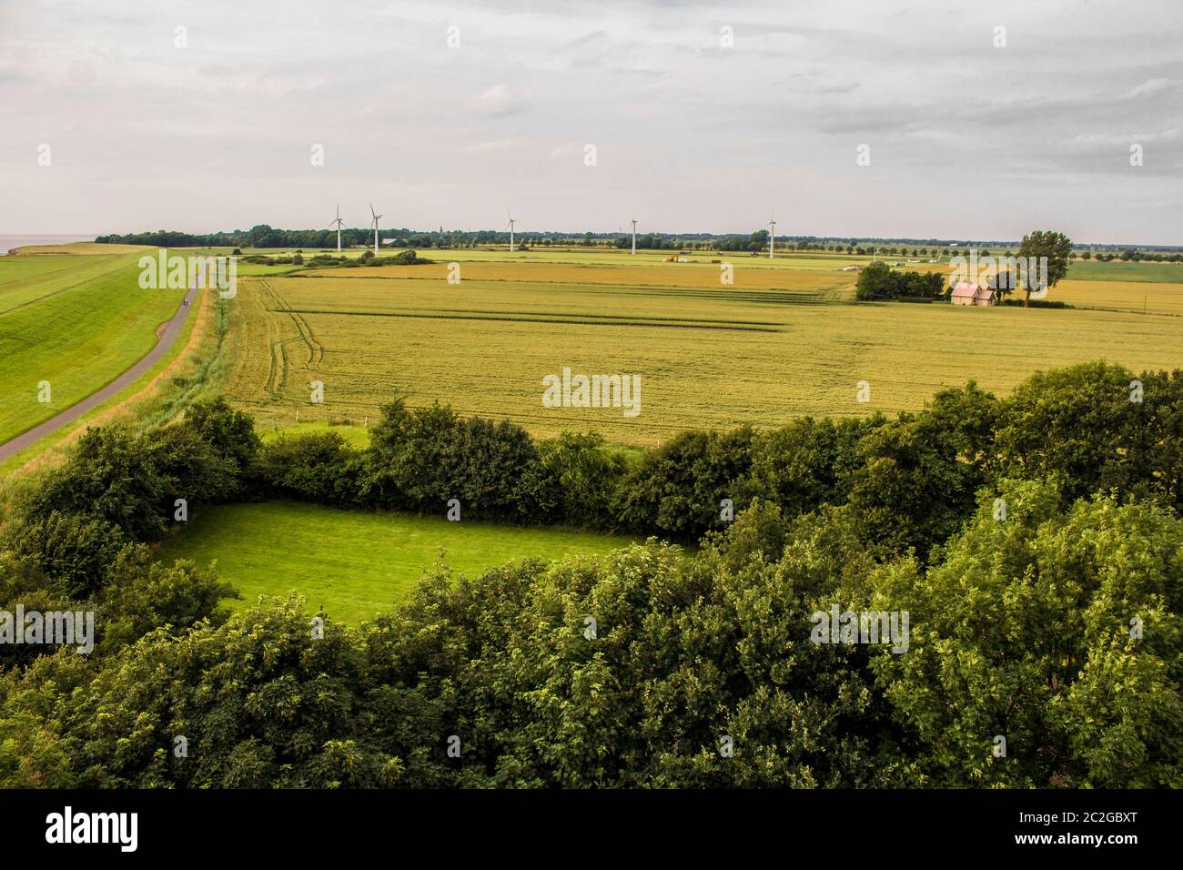 Wetter, Windenergieanlagen und grünes Gras, Deich Landschaft im Norden von Deutschland. Stockfoto