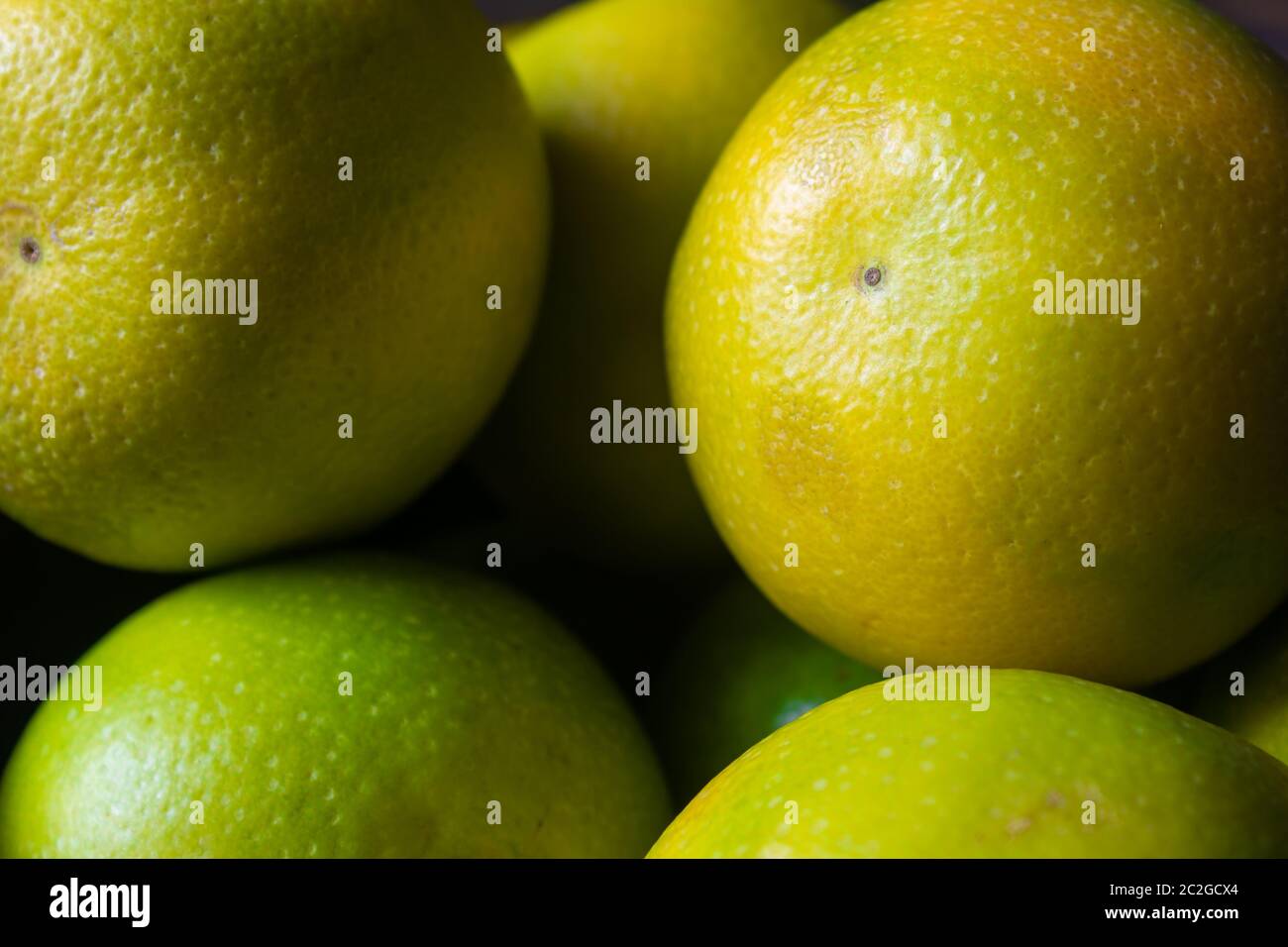 Süße Limettenfrucht (auch bekannt als Citrus limetta, Musambi). Lebensmittel reich an Vitamin C und stärken die Immunität. Stockfoto