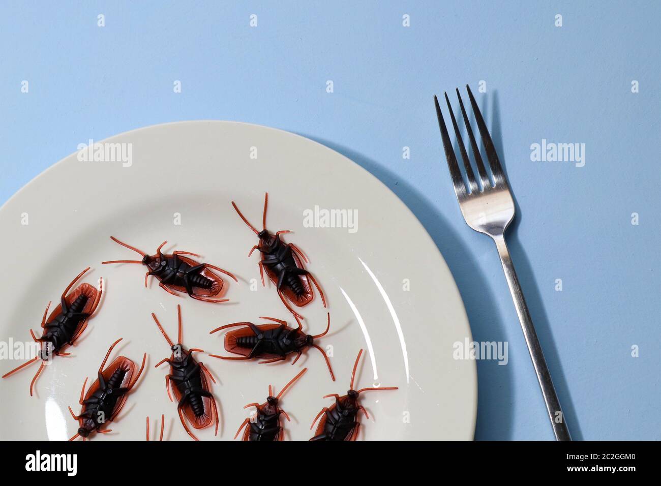 Insekten als Nahrung oder essbare Insekten sind Insektenarten, die für den menschlichen Verzehr entweder ganz oder als Zutat in verarbeiteten Lebensmitteln pro verwendet werden Stockfoto