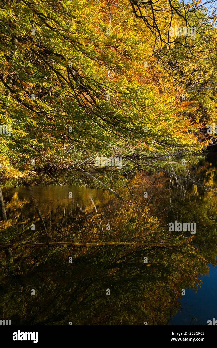 Parc national du Mont-Saint-Bruno im Herbst Stockfoto