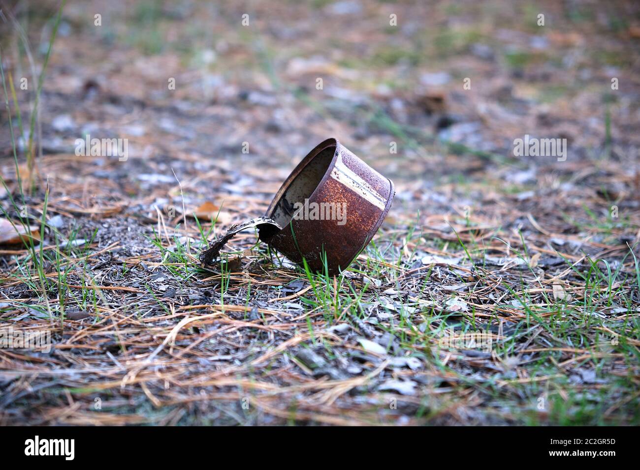 Öffnen rusty Zinn in der Mitte des Waldes können Lügen, Umweltverschmutzung Konzept Stockfoto