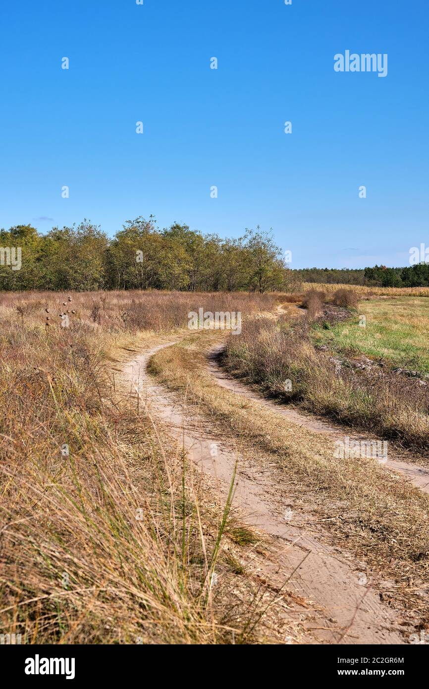 Sandigen Weg mitten in der ukrainischen Steppe an einem Herbsttag, Kherson region Stockfoto