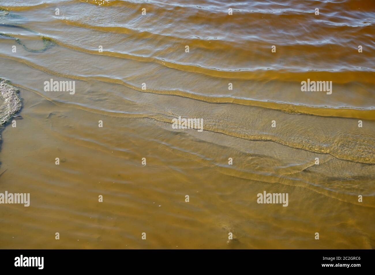 Ufer des jodierten Heilung See mit braunem Wasser mitten in der Steppe. Kherson Region der Ukraine, Tag Stockfoto