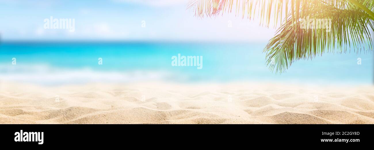 Sonniger tropischer Strand mit Palmen Stockfoto