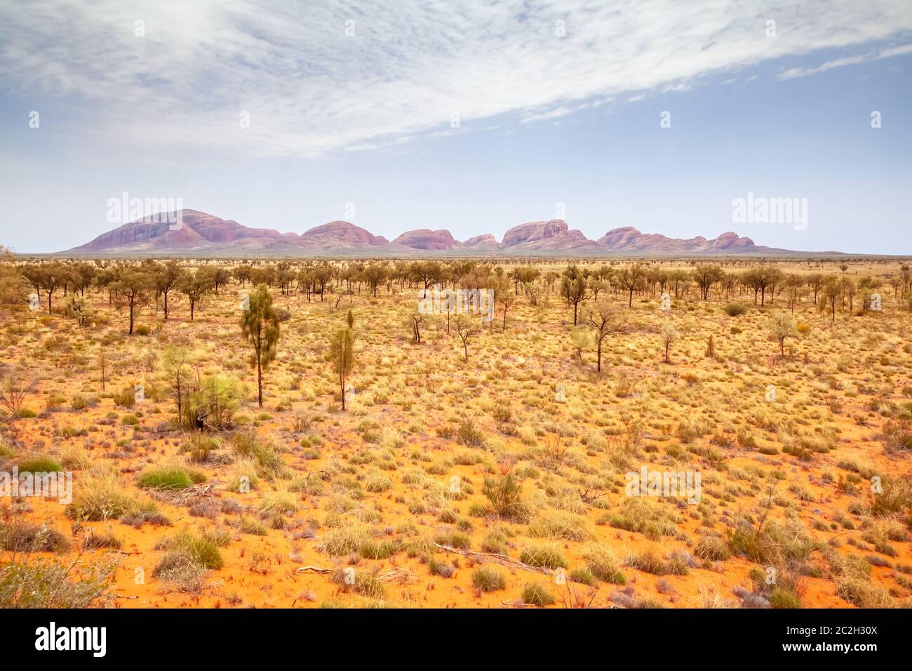 Landschaft des australischen Outback Stockfoto