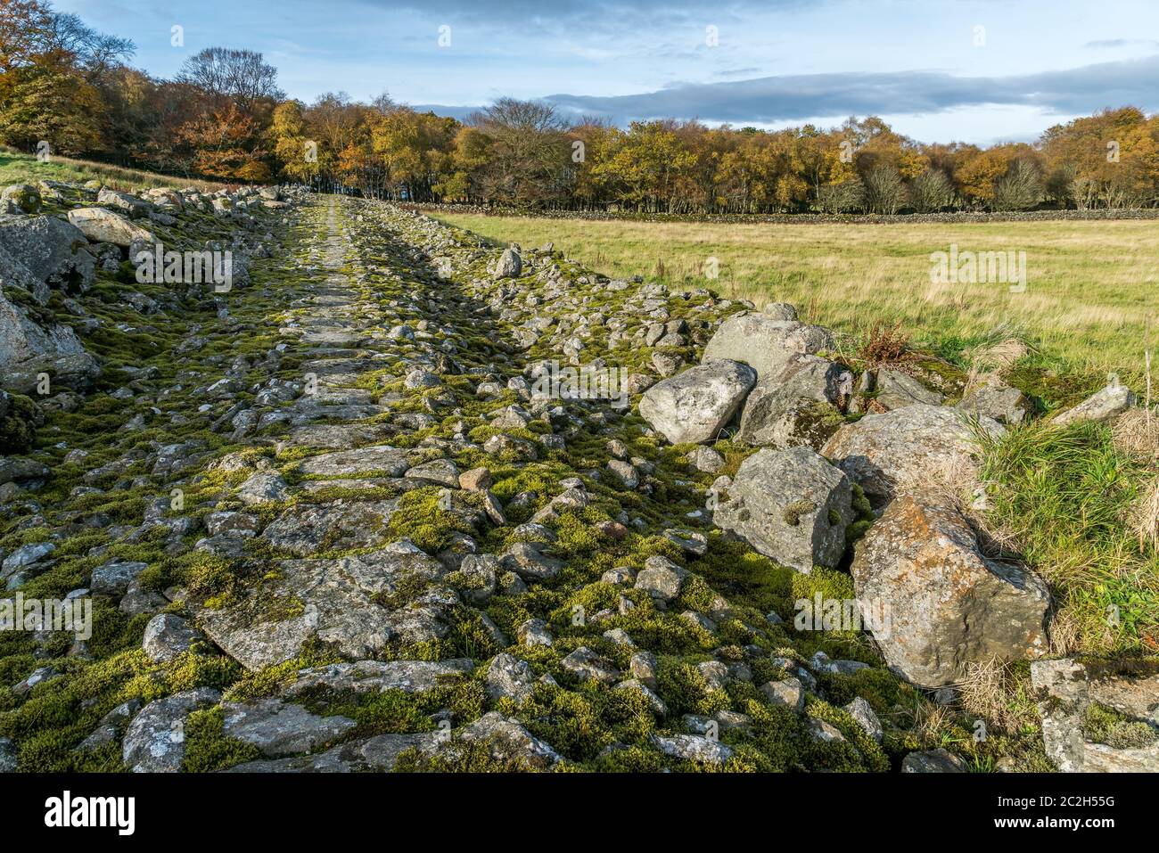 Broad Dyke, eine Konsummauer in Kingswells, Aberdeen. Stockfoto