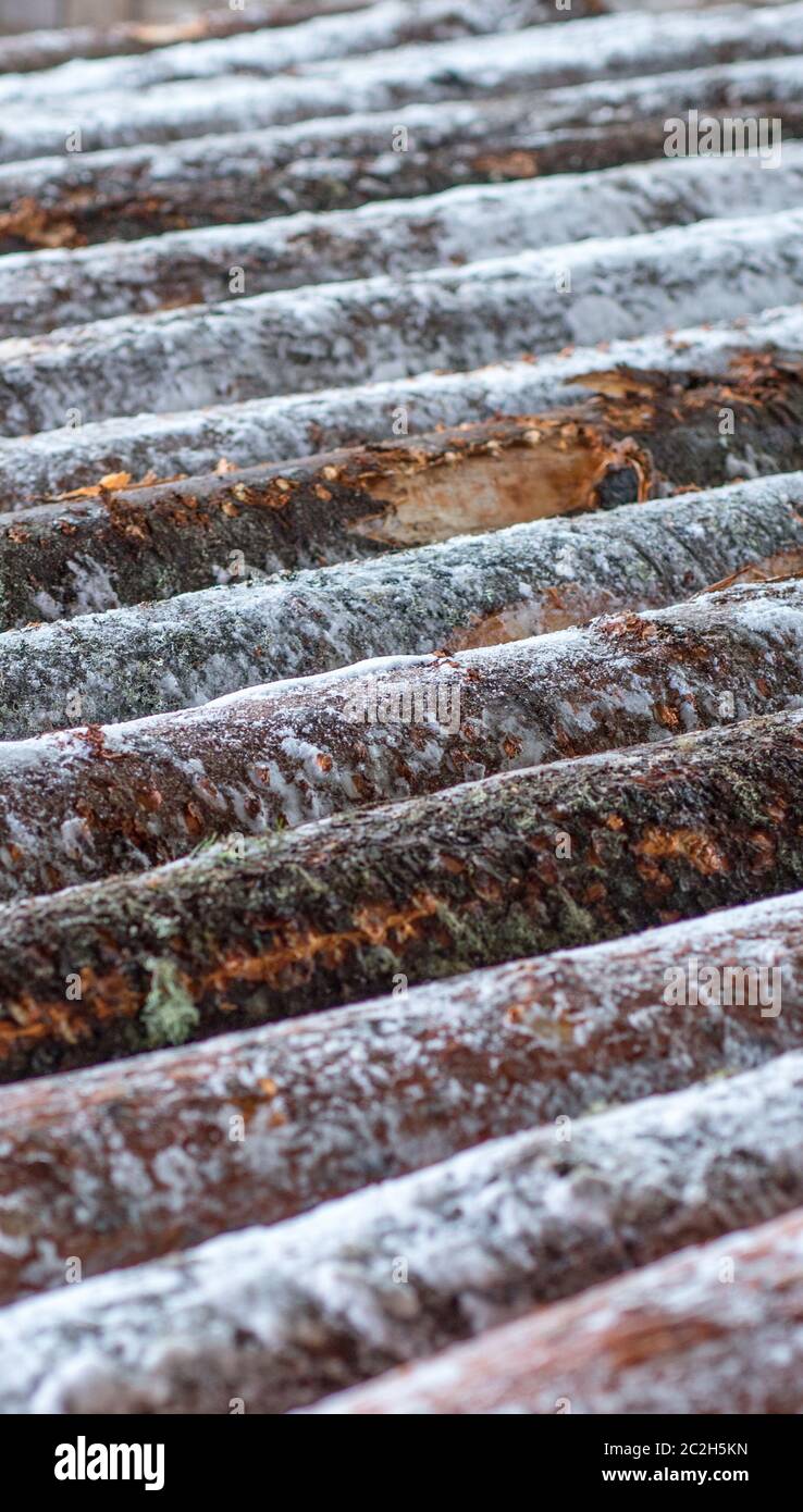 Bild von Schnee bedeckten Protokollen am Sägewerk Stockfoto