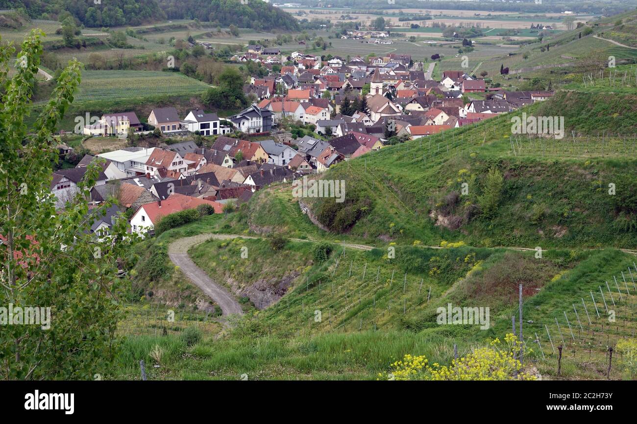 Blick auf Achskartuben im Kaiserstuhl Stockfoto