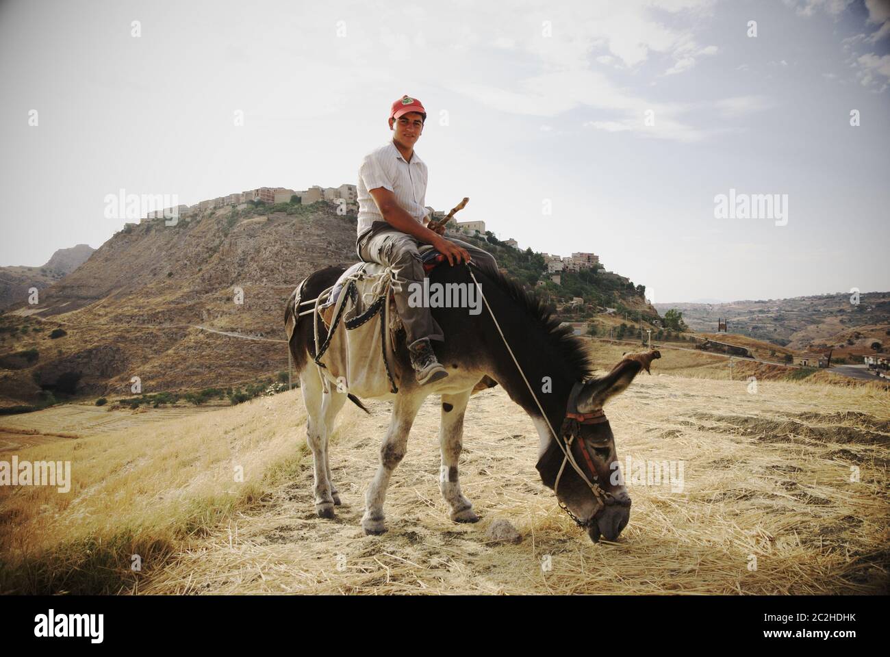 Vintage Sizilien ländlichen Szene mit jungen Hirten auf seinem Esel, auf dem Hügel das Dorf Sant'Angelo Muxaro Stockfoto