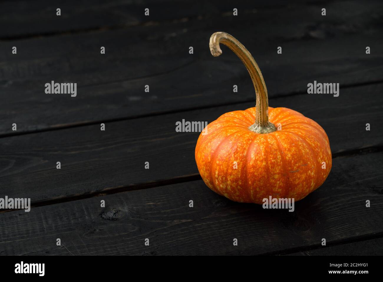 Kleiner orangefarbener Kürbis, allein auf dunklem Holzhintergrund mit Kopierfläche links. Pumkins werden oft als Dekoration für halloween verwendet und sind auch o Stockfoto