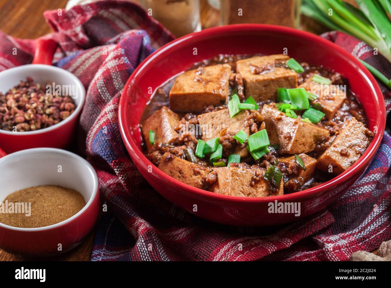 Mapo Tofu - traditionelle sichuan würzige Gericht. Chinesische Küche Stockfoto