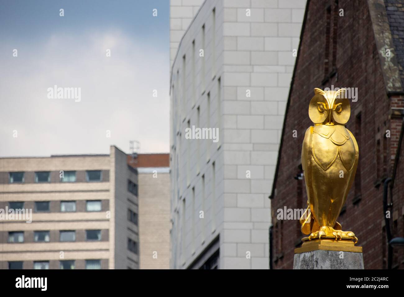 Leeds UK 14. Juni 2020: Die berühmte Goldeule befindet sich im Stadtzentrum von Leeds in West Yorkshire in Großbritannien, an einem sonnigen Sommertag Stockfoto
