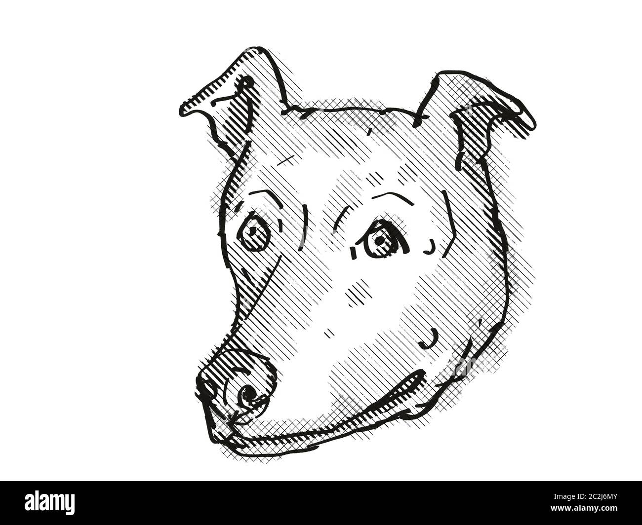 Retro Cartoon Stil Zeichnung der Kopf eines Greyhound, ein Hund oder Hund Rasse auf isolierten weißen Hintergrund in Schwarz und Weiß. Stockfoto