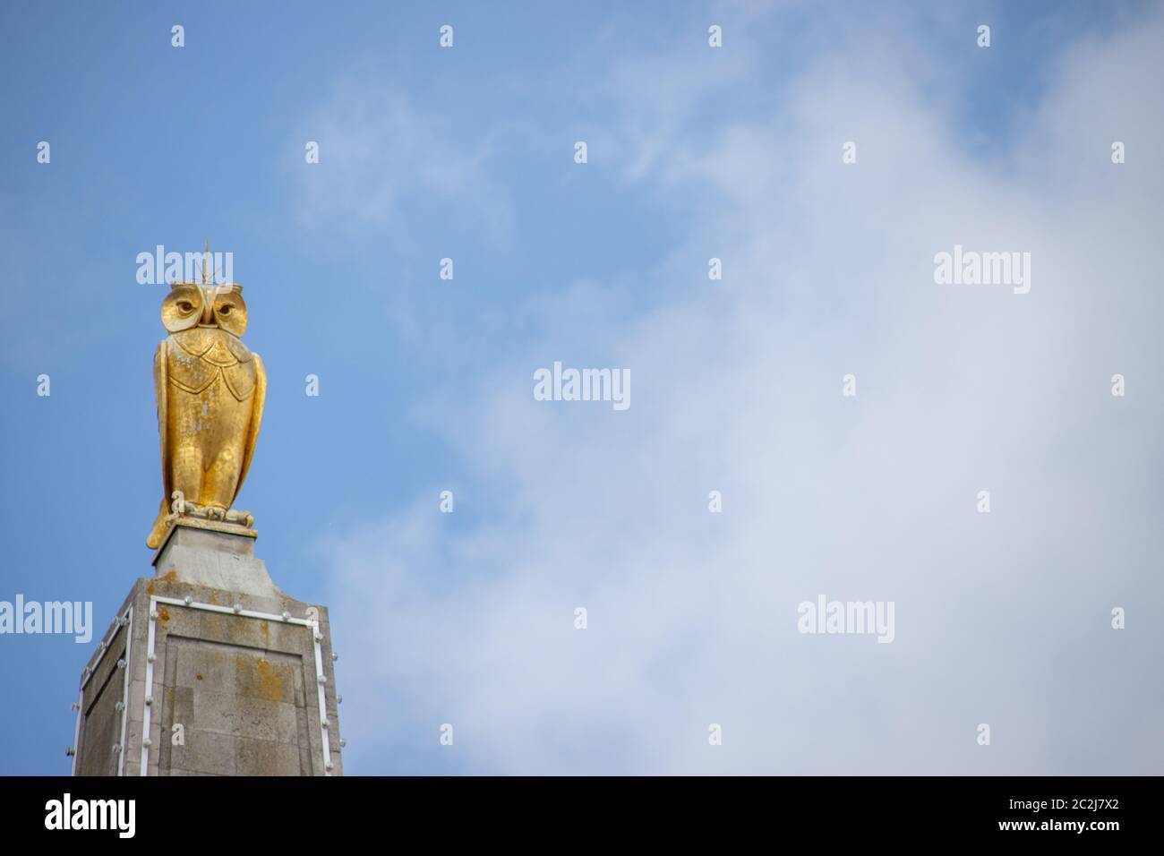 Leeds UK 14. Juni 2020: Die berühmte Goldeule befindet sich im Stadtzentrum von Leeds in West Yorkshire in Großbritannien, an einem sonnigen Sommertag Stockfoto
