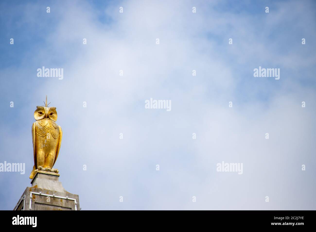 Leeds UK 14. Juni 2020: Die berühmte Goldeule befindet sich im Stadtzentrum von Leeds in West Yorkshire in Großbritannien, an einem sonnigen Sommertag Stockfoto