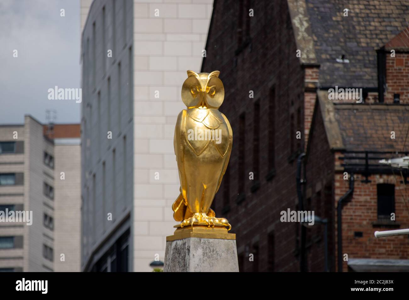 Leeds UK 14. Juni 2020: Die berühmte Goldeule befindet sich im Stadtzentrum von Leeds in West Yorkshire in Großbritannien, an einem sonnigen Sommertag Stockfoto