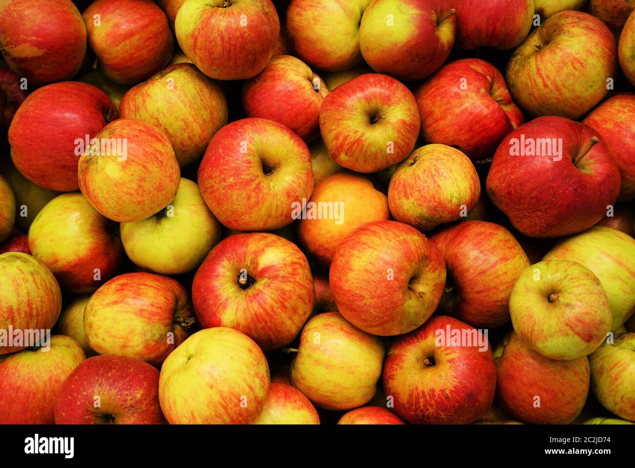 Viele frische Bio-Äpfel füllen das Foto Stockfoto