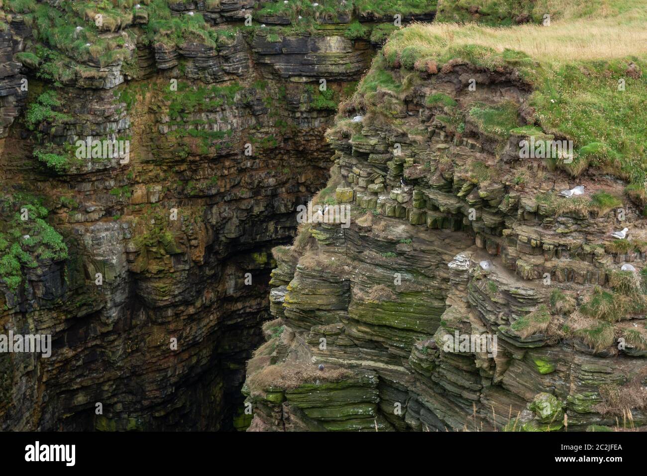 Geo von Sclaites Bird Rocks im Norden Schottlands Stockfoto