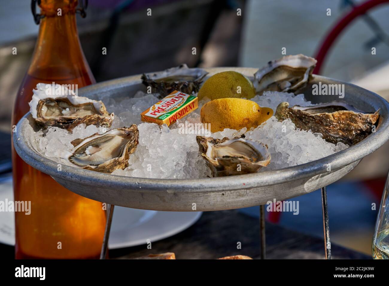 Teller mit frischen Arcachon-Ostern auf Eis mit Zitronen und Butter, Piraillan, Cap Ferret, Frankreich Stockfoto