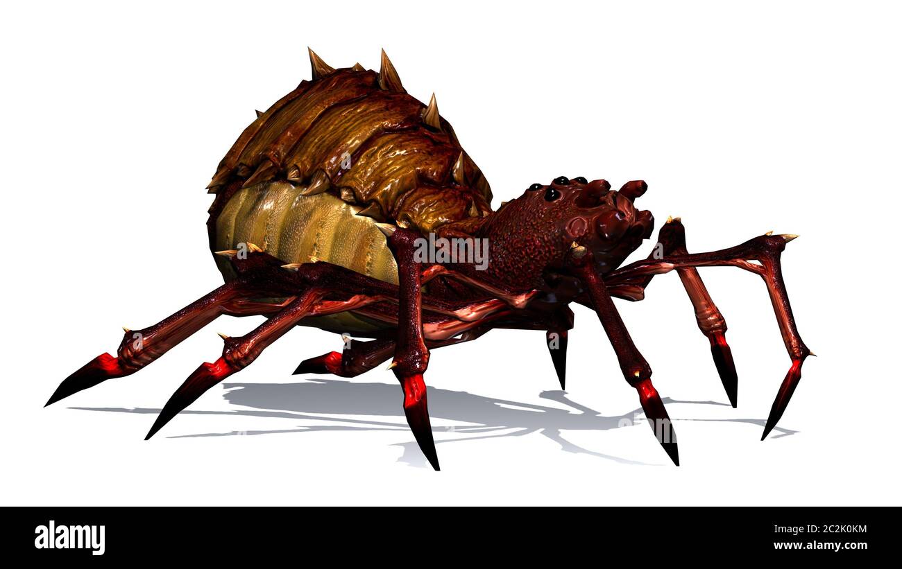 Fantasy-Spinne mit Schatten auf dem Boden - von links abgesägt Stockfoto