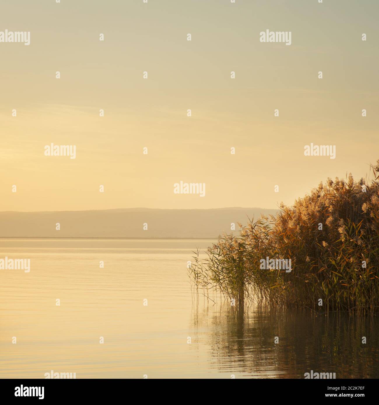 Sonnenuntergang und weiches Licht am neusiedler See im burgenländischen Stockfoto