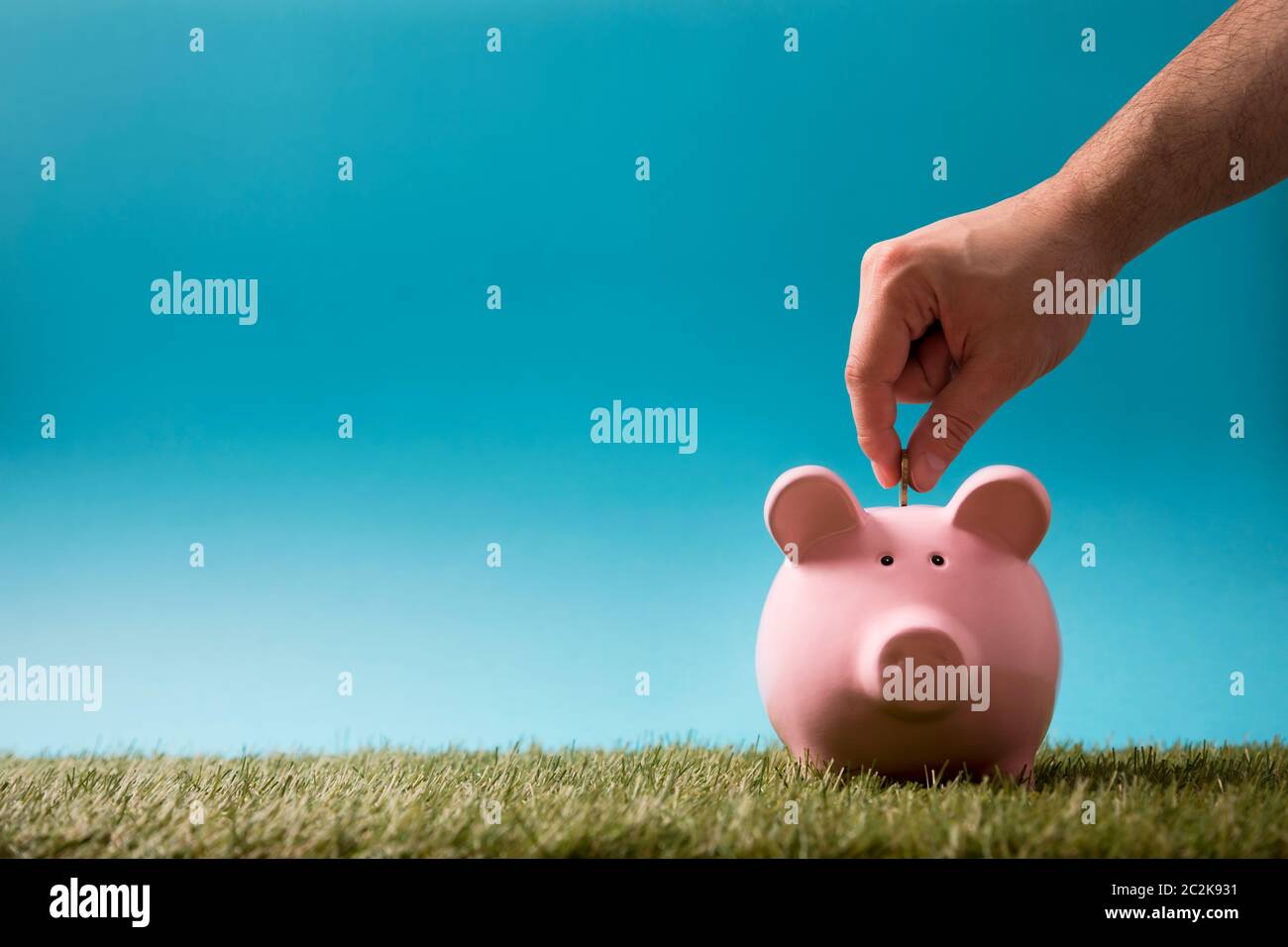 Die Münze in das Sparschwein auf grünem Gras und blauer Himmel Stockfoto