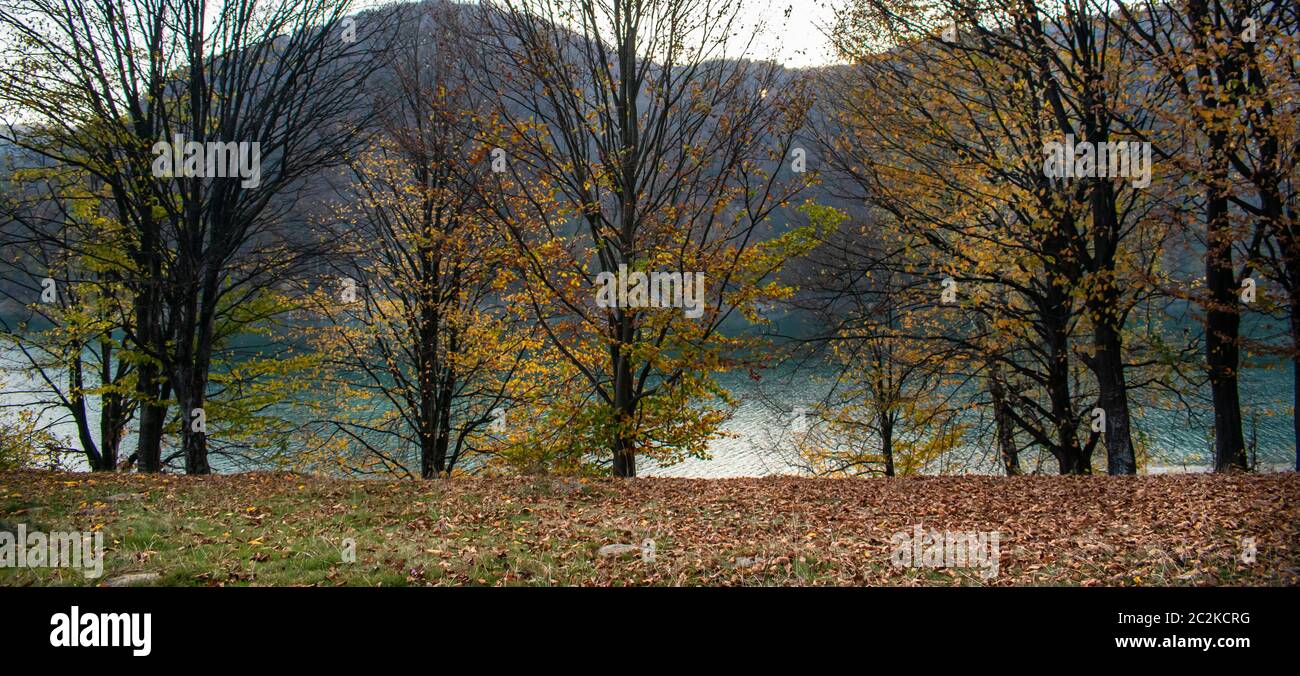 Schöne Aussicht durch die Bäume eines Sees umgeben von Wäldern Stockfoto