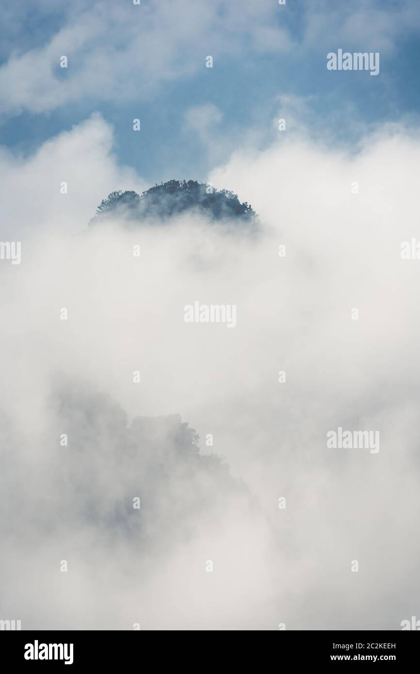 Vertikale Ansicht der niedrigen morgen Wolken engulfing Steinsäule der Tianzi Berge in Zhangjiajie National Park, einer berühmten Touristenattraktion, Wulingyu Stockfoto