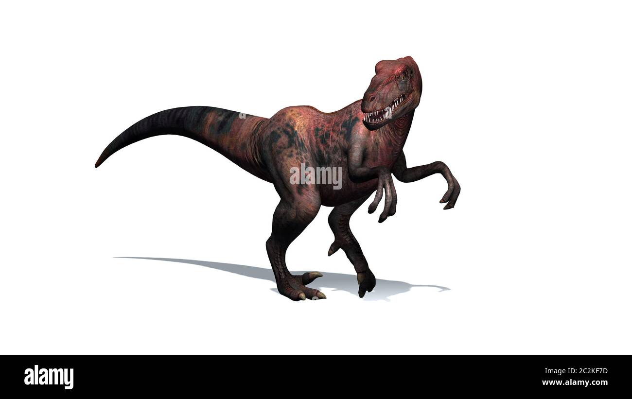 Dinosaurier - Velociraptor - zweibeinige Raubtiere mit einem langen steifen Schwanz Stockfoto