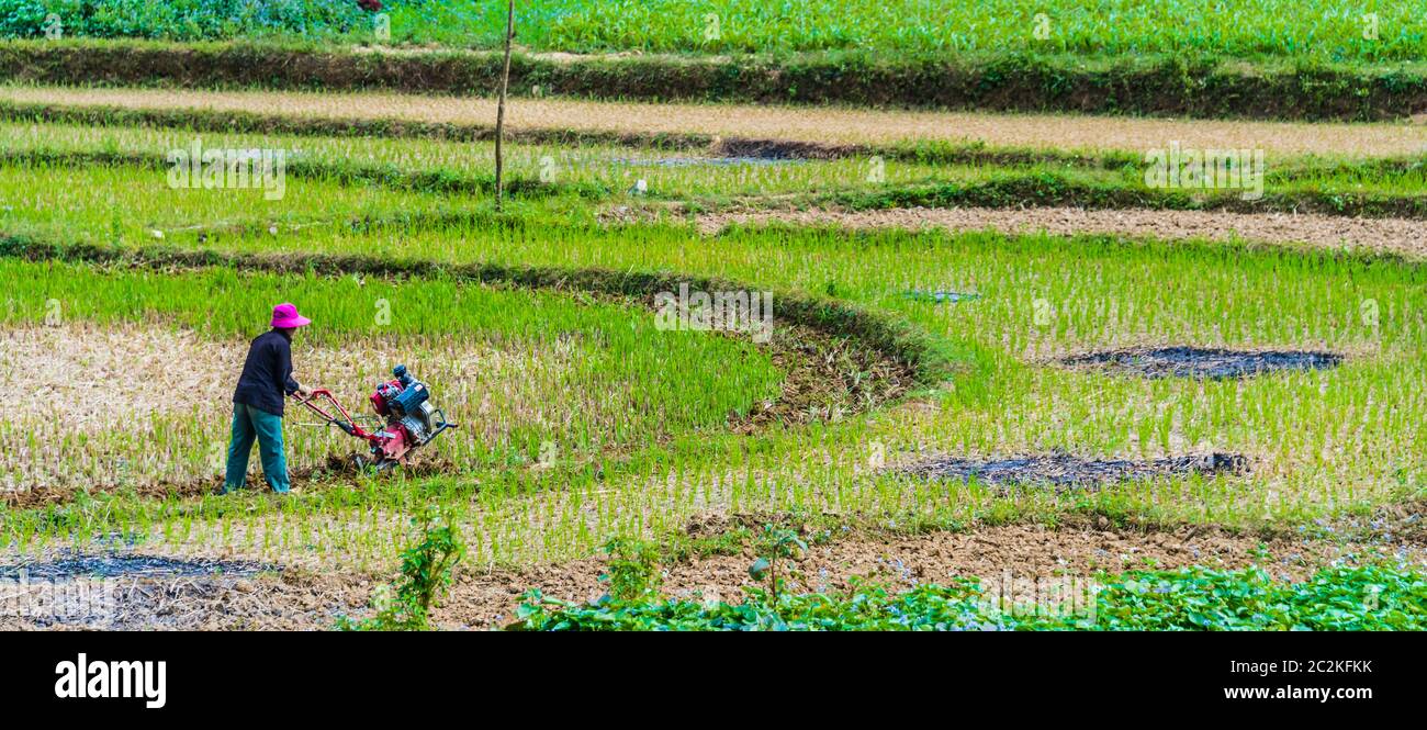 Autarke arbeitsintensive Landwirtschaft in der Provinz Ha Giang, Vietnam.traditionelle nachhaltige Landwirtschaft. Stockfoto