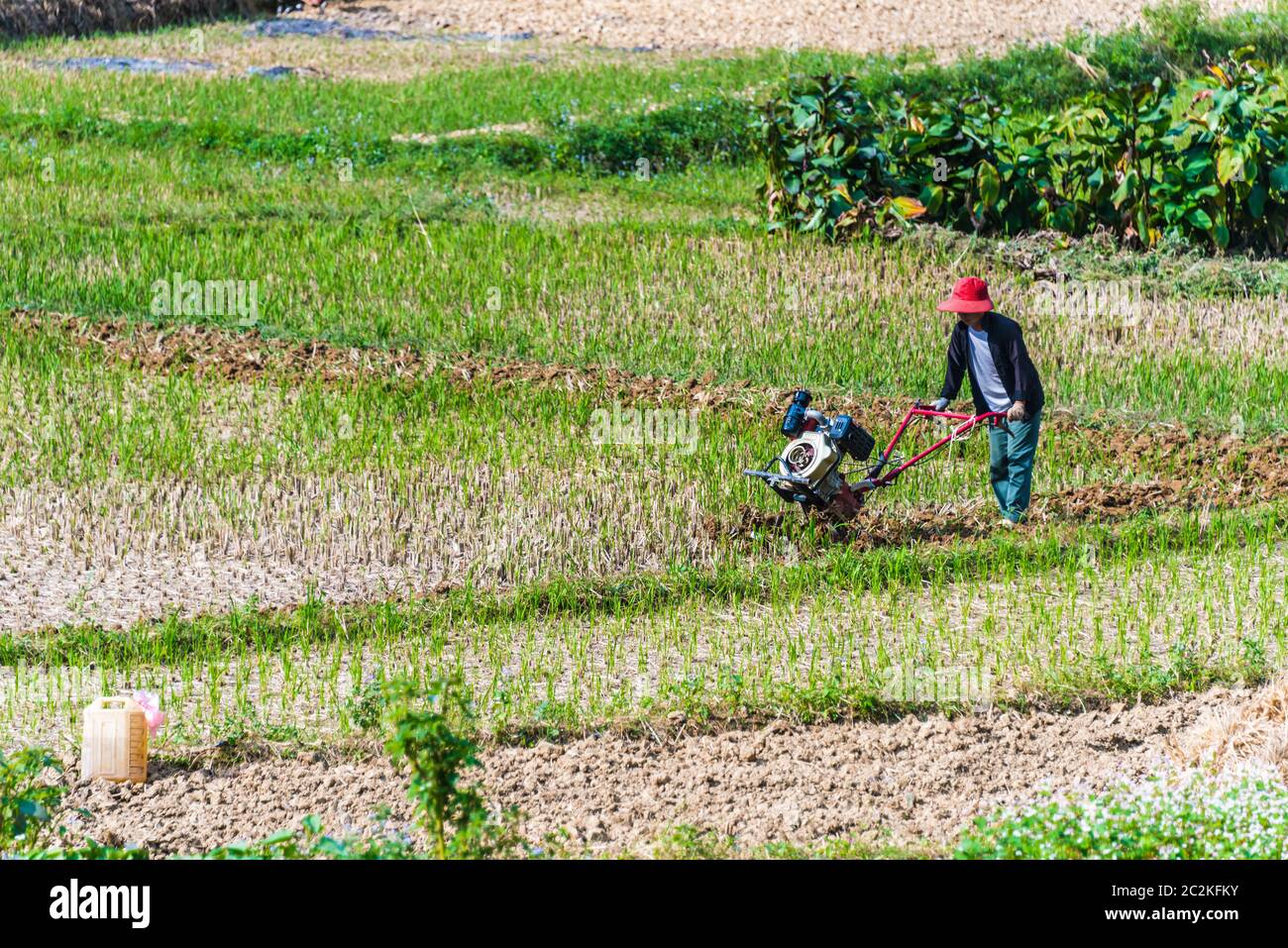 Autarke arbeitsintensive Landwirtschaft in der Provinz Ha Giang, Vietnam.traditionelle nachhaltige Landwirtschaft. Stockfoto