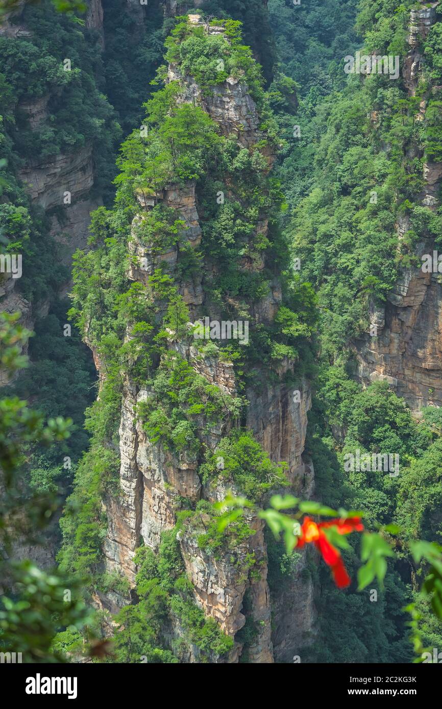 Defokussierten Memorial religiösen red ribbon auf einen grünen Zweig der Baumstruktur vor Vertikalen karst Säule Felsformation, von der bezaubernden t gesehen Stockfoto