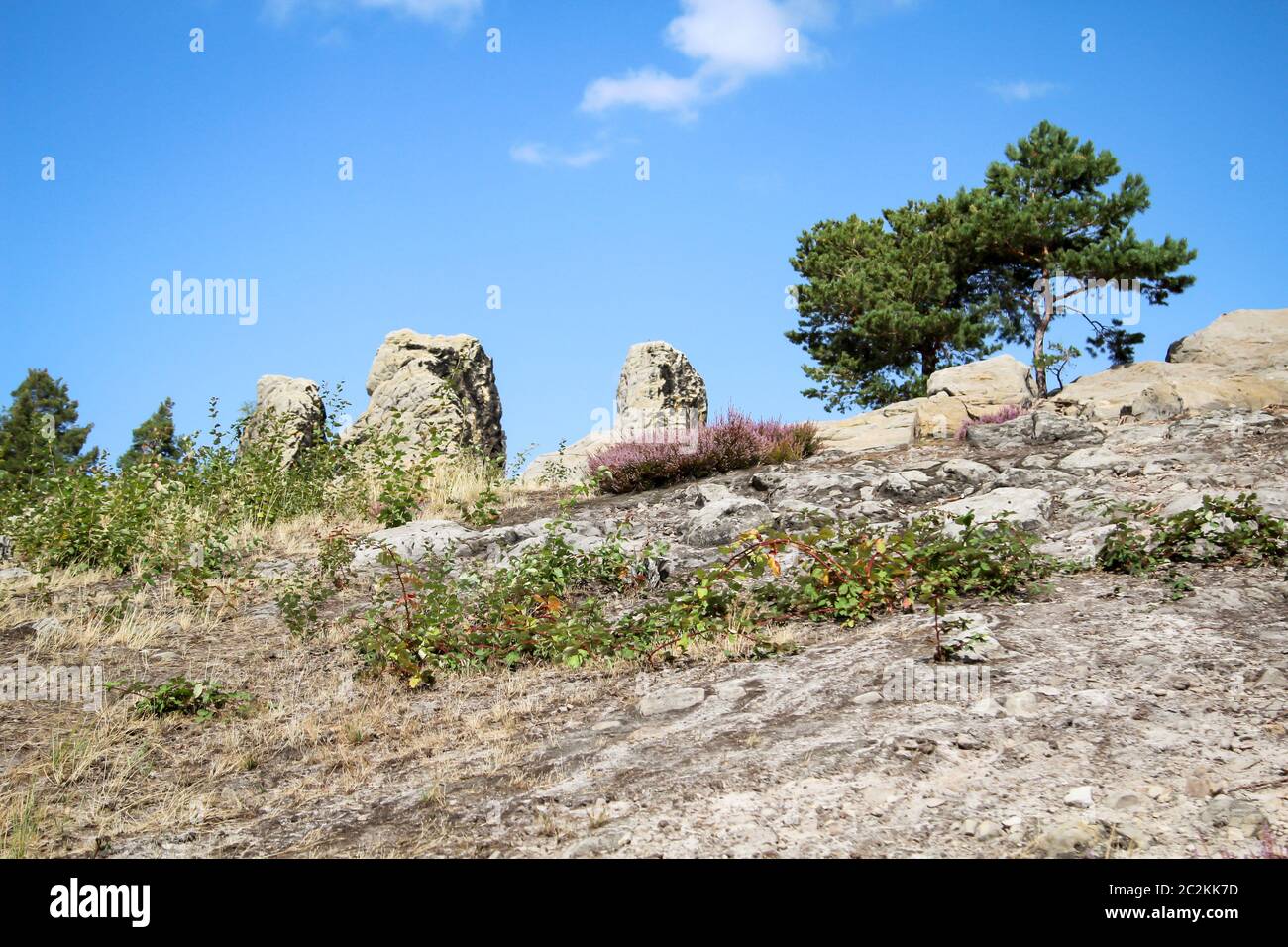 Harz, Berge, Sandsteinfelsen bilden eine wunderschöne Landschaft Stockfoto