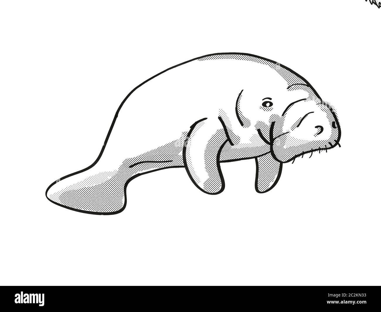 Retro cartoon Mono line Stil der Zeichnung ein Manatee oder Meer Kuh, eine große aquatische Pflanzen fressenden Meeressäuger und bedrohter Tierarten auf dem isolierten Stockfoto