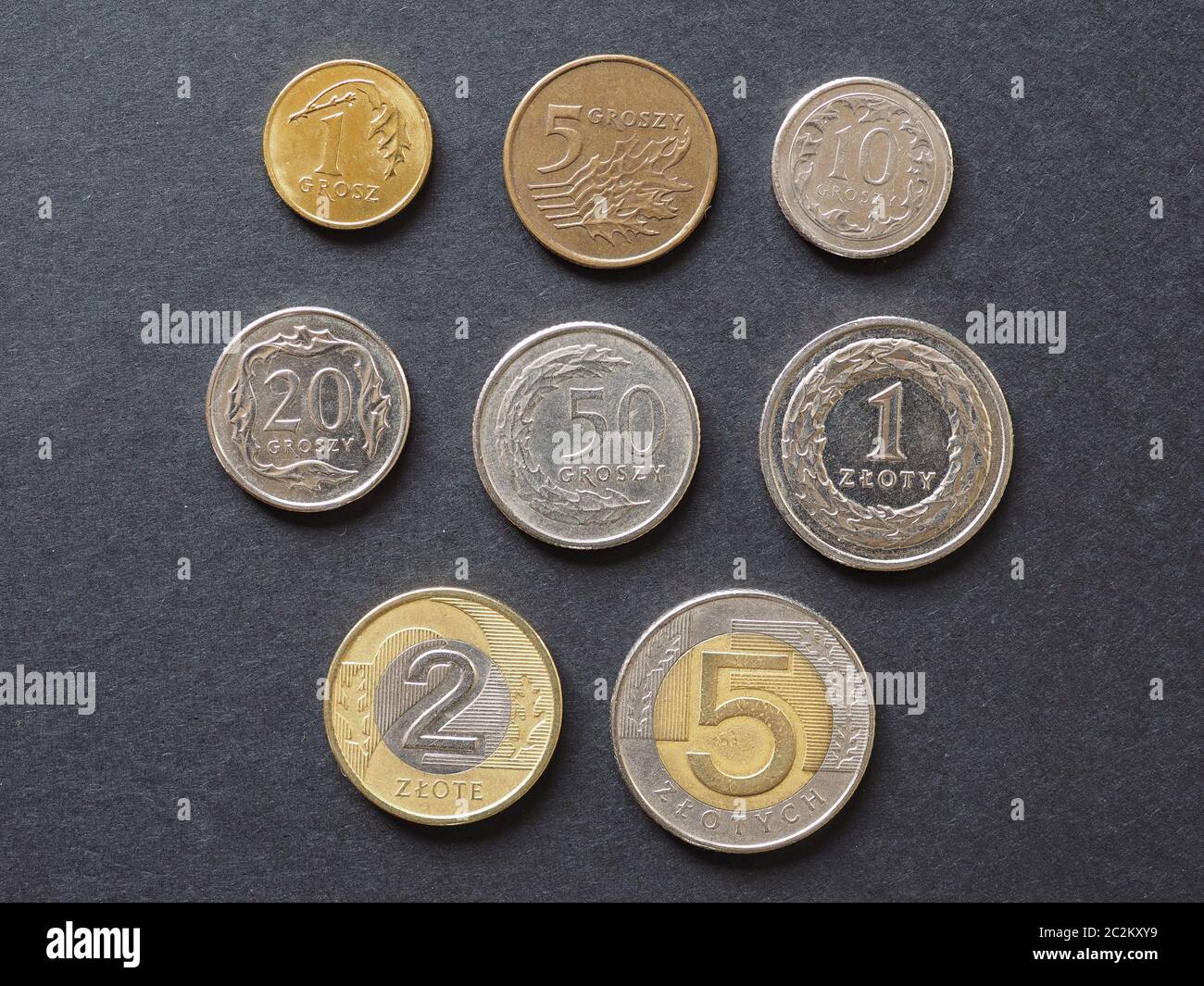 Polnisches Zloty Coins Money (PLN), Währung Polens Stockfoto