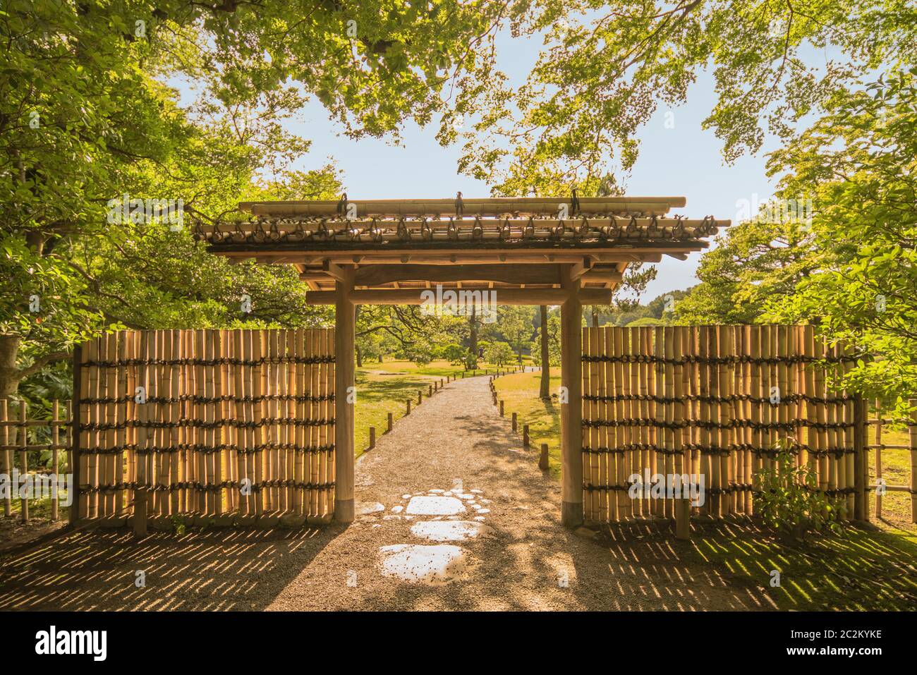 Kleine Innenraum Bambus Tor des Gartens von rikugien unter den Ahornbäumen, die in den Strahlen der Sonne lassen. Stockfoto