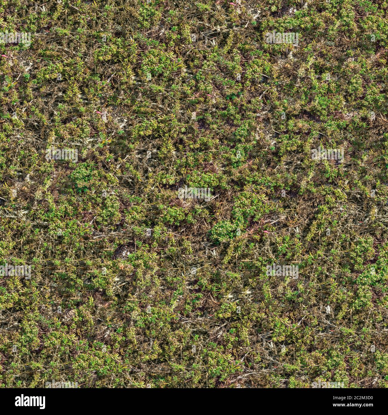 Grass Seamless Texture Stockfotos Und Bilder Kaufen Alamy