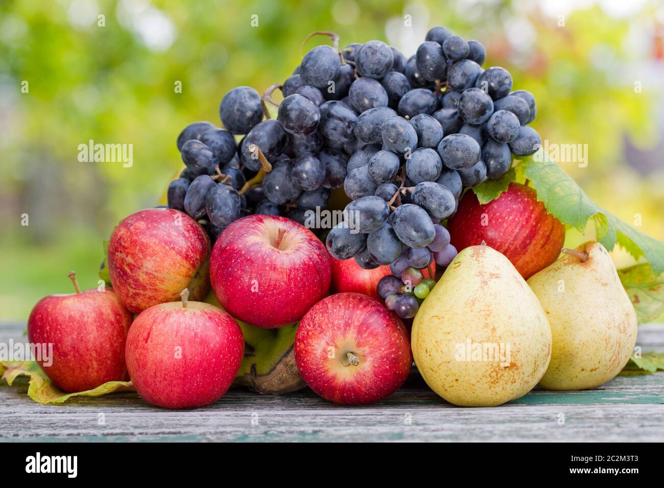 Früchte in Holztisch im Freien im Garten Stockfoto