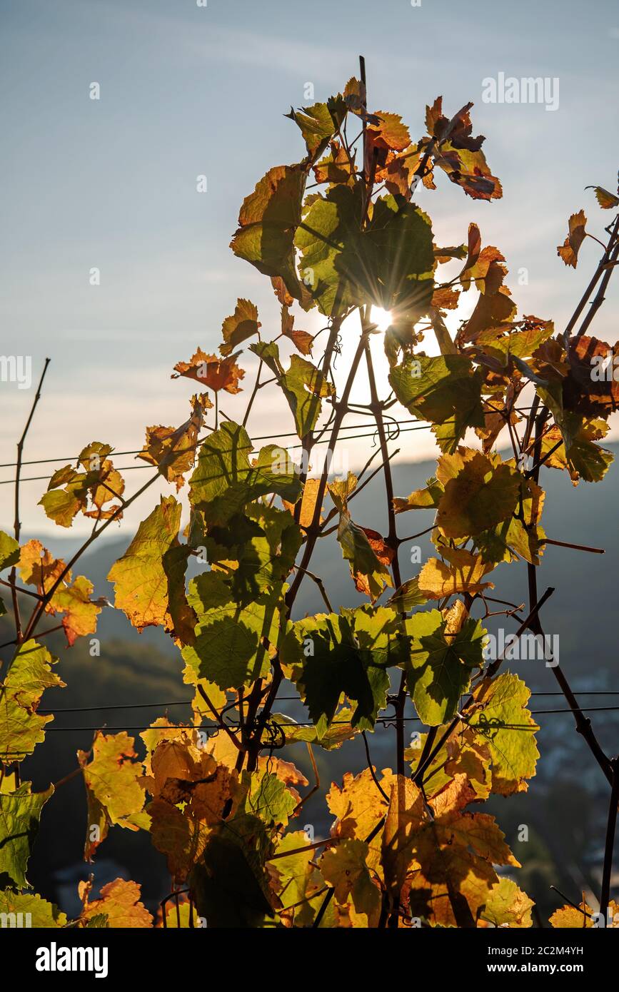 Verfärbungen Stockfoto
