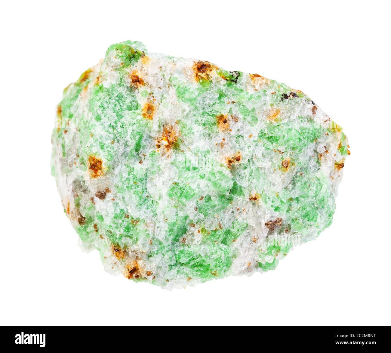 Nahaufnahme der natürlichen Mineralprobe aus der geologischen Sammlung - raue Edenit-Kristalle in Felsen isoliert auf weißem Grund Stockfoto