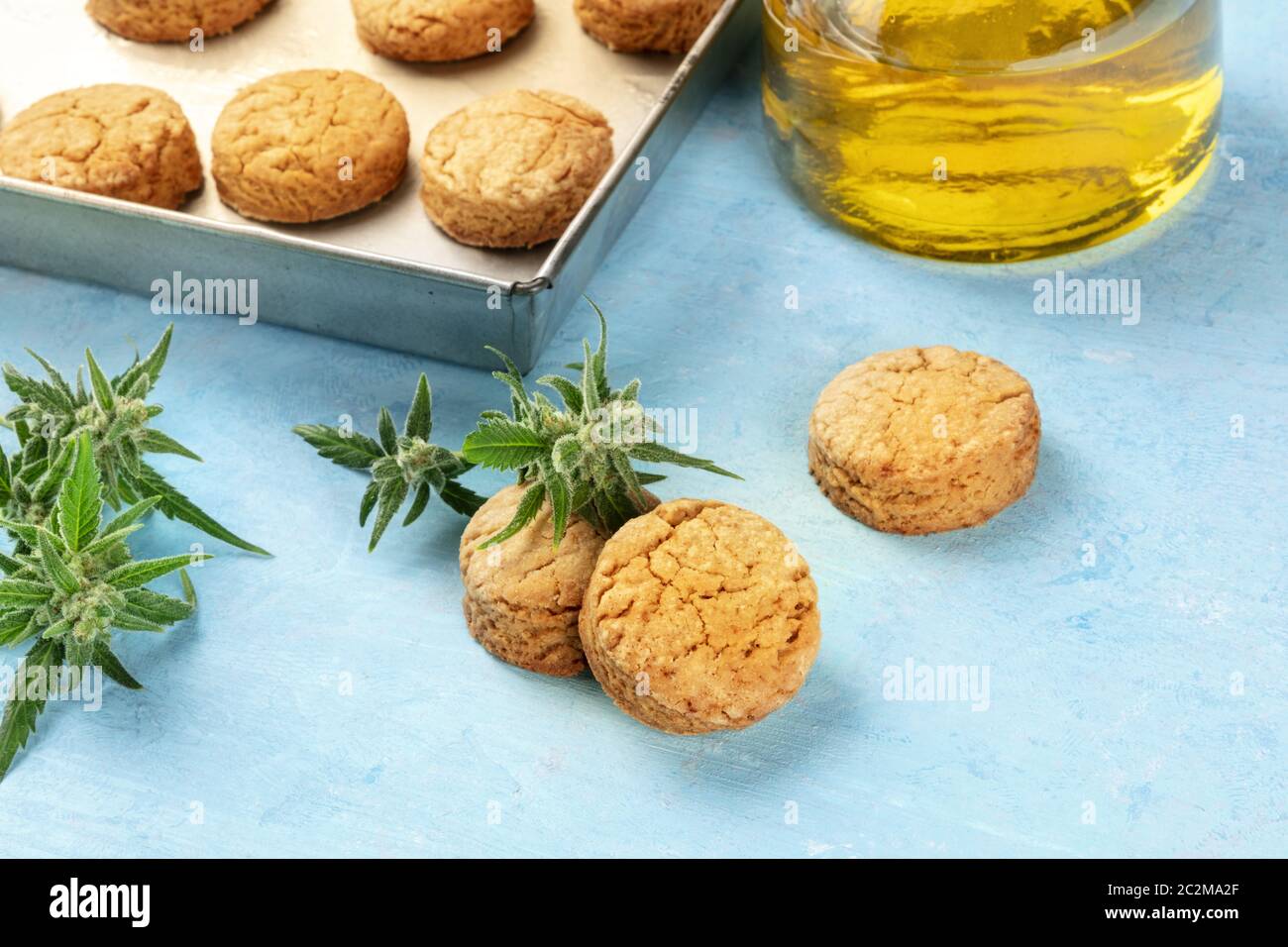Cannabis butter Cookies mit Marihuana Knospen und cannaoil, hausgemachte gesunde Kekse, Nahaufnahme auf einem blauen Hintergrund Stockfoto
