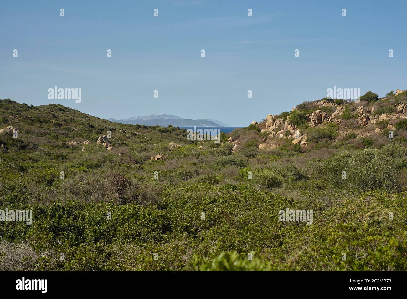 Panorama der sardischen Küste mit ihrer typischen Vegetation und die mediterrane Vegetation, die das Meer erreicht. Stockfoto