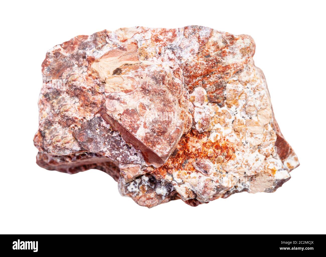 Nahaufnahme der natürlichen Mineralprobe aus der geologischen Sammlung - Stück roher Rhyolitgestein isoliert auf weißem Grund Stockfoto