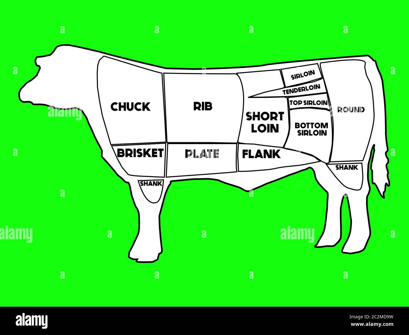 Draw of Cow zeigt American Primal Cuts of Beef und seine Unterteilungen. Fleischstück-Set. Metzgerdiagramm und Schema Kuh. Hand auf einem grünen Bildschirm c gezeichnet Stockfoto