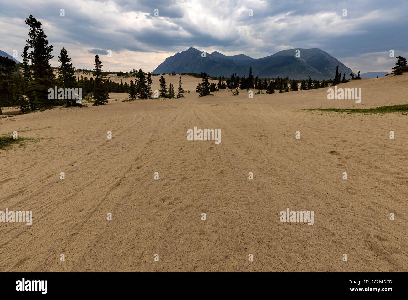 Die kleinste Wüste der Welt bei Carcross in Kanada Stockfoto