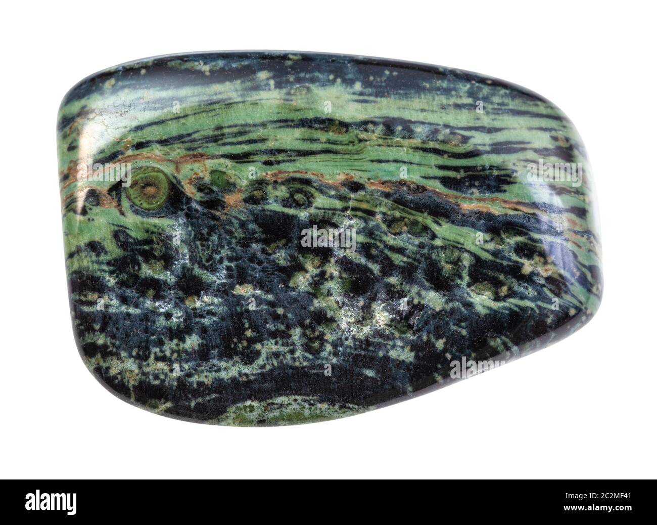 Nahaufnahme der Probe von natürlichen Mineral aus geologischer Sammlung - poliert grünen Rhyolith-Gestein auf weißem Hintergrund isoliert Stockfoto