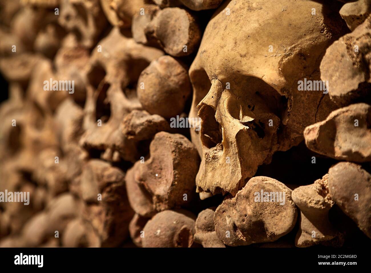 Wand aus menschlichen Knochen Stockfoto