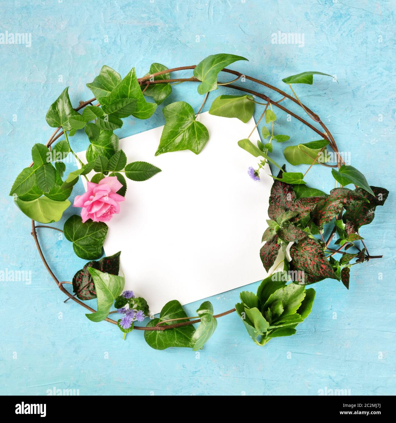 Einladung oder Grußkarte quadratische Design-Vorlage mit einem flachen Lay Kranz aus Blättern und Blumen, von oben auf einem blauen Rücken geschossen Stockfoto