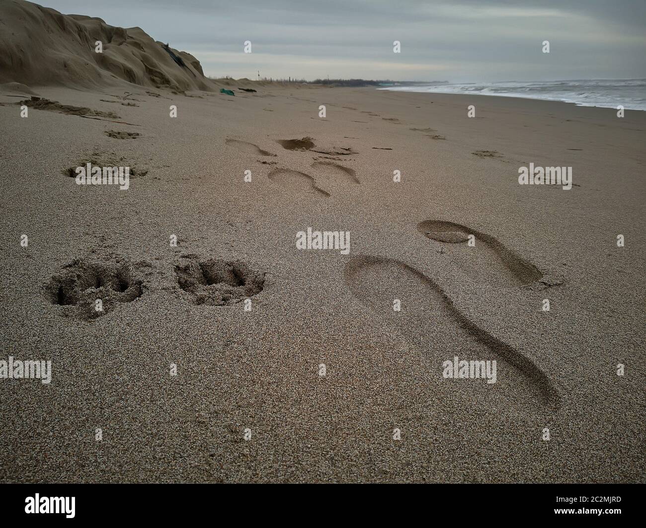 Spuren Nebeneinander auf dem Sand: Die von einer Person und ein Hund, die parallel in der Landschaft fort. Stockfoto